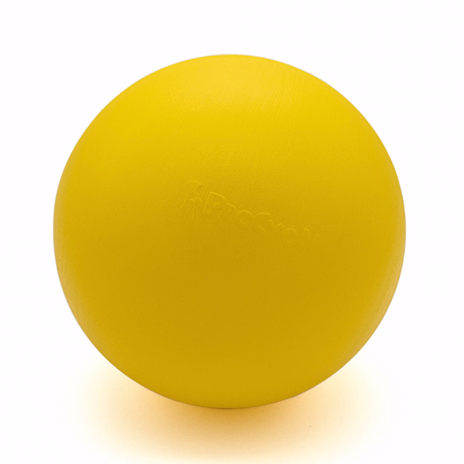 Treibball Größe S