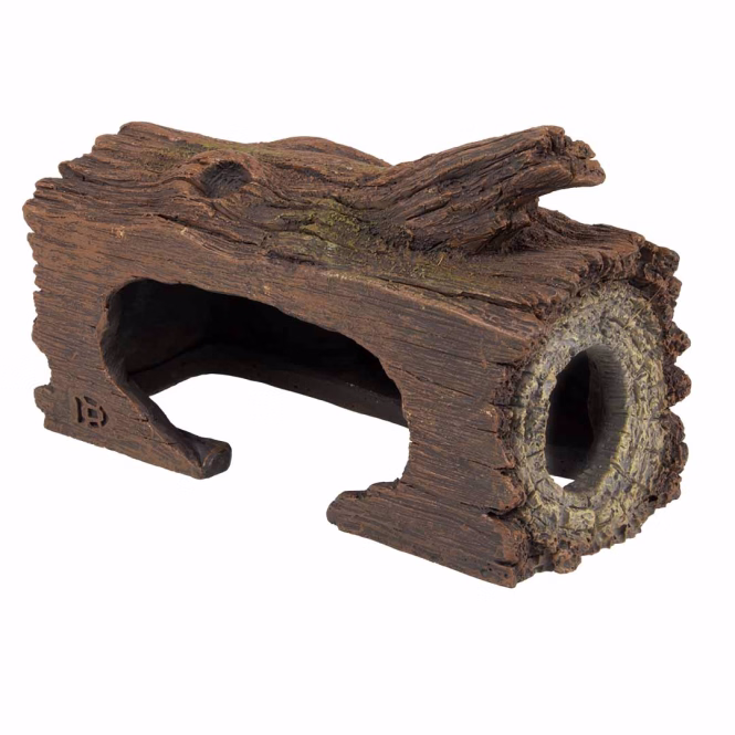 Aqua Della Zucht-Höhle Baum
